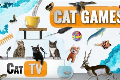 CAT Games | Ultimate Cat TV Compilation Vol 63 | 2 HOURS 🐝🐞🦋🦎🦜🐜🐭🧵