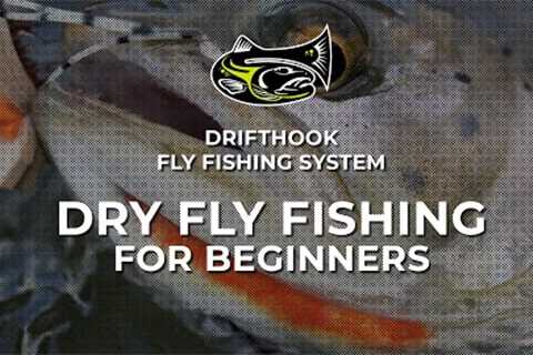 Dry Fly Fishing for Beginners