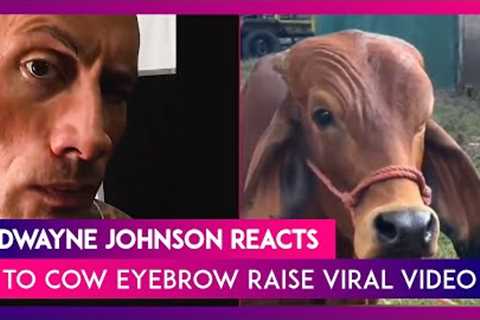 Dwayne Johnson, The Rock, Reacts To Cow’s Eyebrow Raise Viral Video, Says, ‘I Wasn’t Expecting That’