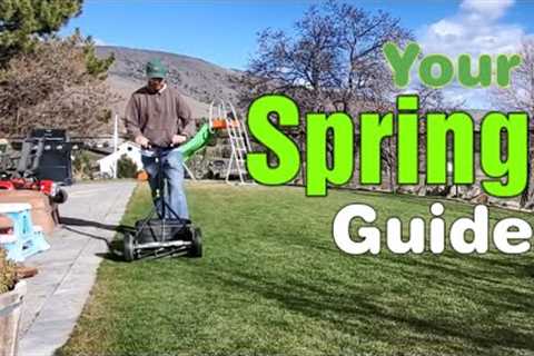 Spring Lawn Care: Fix An Ugly Lawn In One Year - Everything You Need To Know