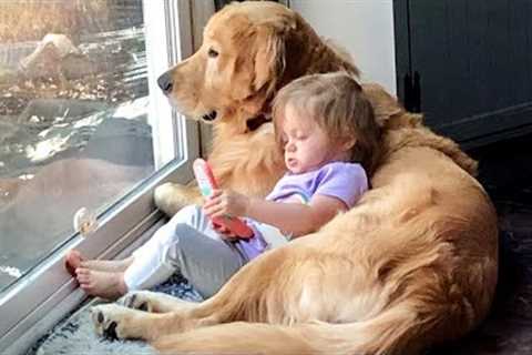 When Your Dog Is The Best Babysitter