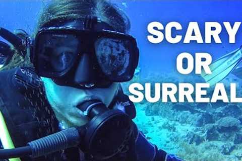 SCUBA DIVING IN THE RED SEA, EGYPT // EGYPT TRAVEL VLOG