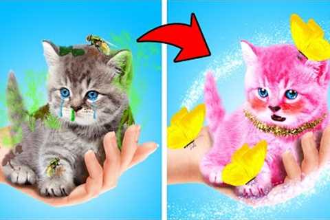 Saved Homeless Cat! How to Take Care of your Pets - Smart Cat Gadgets