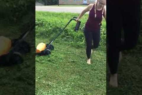 My new lawn workout toy🌱🌾🍃💚 fiskars staysharp max reel mower