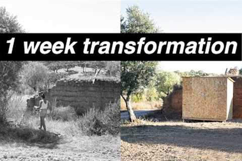 #0 pt.1 We Bought Land to Build a Cabin in Portugal | First Week Transformation