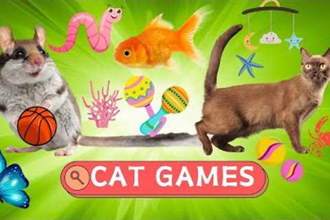 Cat TV 🐭 Games for Cats To Enjoy 🦜 Video To Relax Your Pets 🪱🪰🐛⚽🎣🎾🪁 - Cat Games
