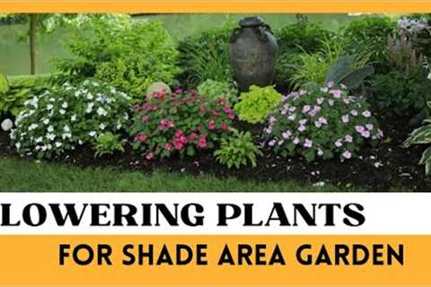Flowering Plants for Shade | Shade Gardening ideas | Shade loving perennials | Shade Area Plants