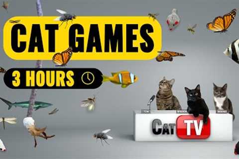 CAT TV | Cat Games 4K | Videos For Cats | Bugs, Cat Toys and Fish | 3 Hours