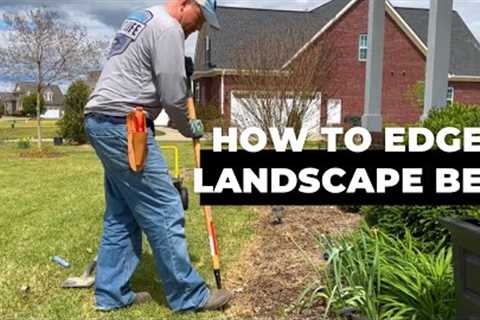 The Power of Edging: Elevate your garden with these simple tools &amp; techniques