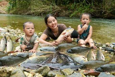 Encounter a huge school of fish - catch fish and trap fish on a rainy day - cook with your children