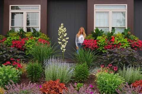 How to Fertilize Your Flowers | Container Gardening Tips &amp; Maintenance | Window Box Full July..