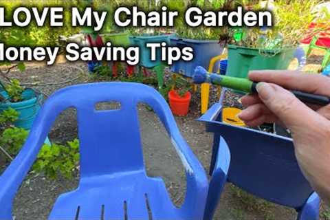 Easy FOREVER Gardening TIPS,  Elevated Container Garden CHEAP Vegetable Setup Takes Minutes for Care