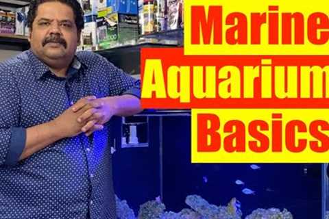 Basics of a Marine Aquarium | Mayur Dev's Tips for Keeping Healthy Saltwater Reef Aquarium  HD 1080p