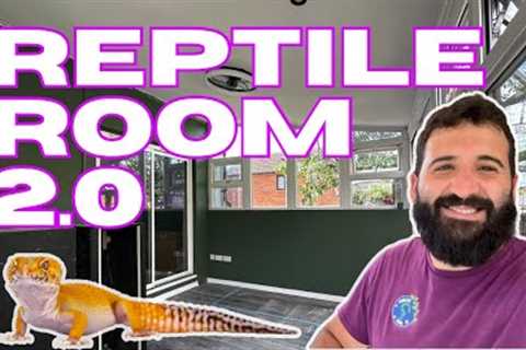 BUILDING MY DREAM REPTILE ROOM!