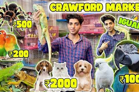 Mumbai Cheapest Pet Market 2023| Exotic Pets in Cheap Price | All Types of Pet Available.