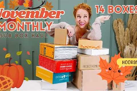 Monthly Subscription Box Haul - November 2023 | New Boxes + Holiday Gifts