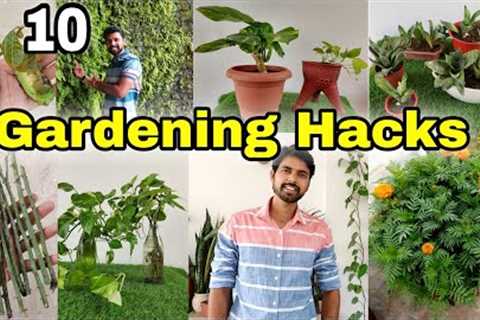 10 Gardening hacks you can do in Rainy Season | The One Page