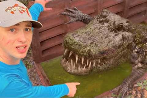 I Found Dying Animals in a Sewer!