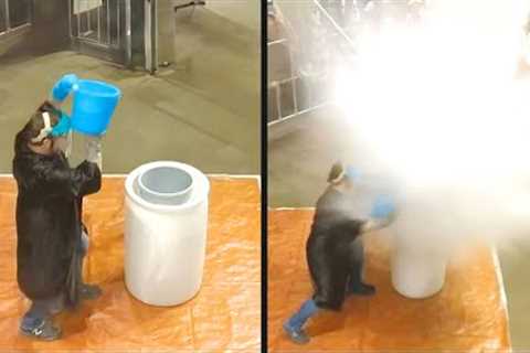 Science Experiment Goes Seriously Wrong