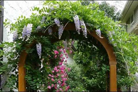 12 Vertical Gardening Ideas using Flowering Vines and Climbers