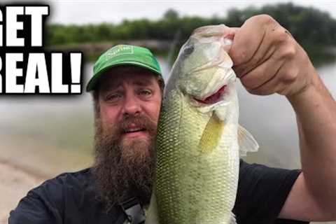 The Most Realistic Fishing Lure For Late Summer Bass Fishing