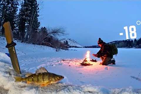 24h WINTER STORM Survival! Fishing &amp; Hunting for Food (Catch &amp; Cook)