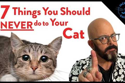 The Seven Deadly Cat Sins!