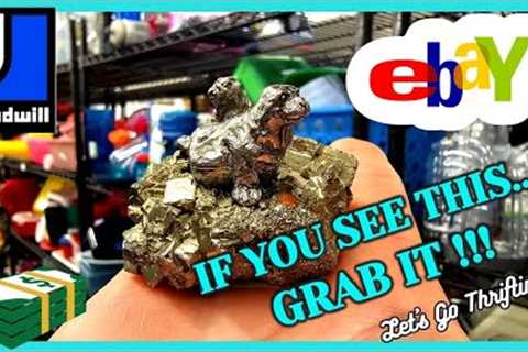 GOODWILL CHANGED its POLICY... WHAT HAPPENS NOW? / I WENT BACK for 3 ITEMS / TOP 5 HAUL Items SOLD