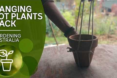 Make your own plant pot hanger with just one cord | Gardening hacks | Gardening Australia