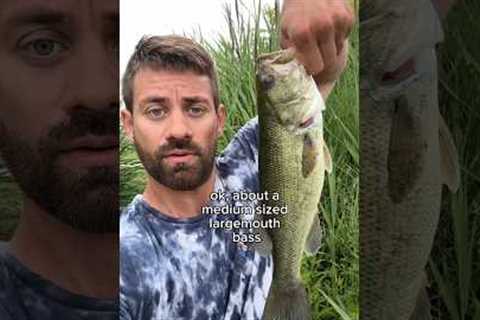 Bass fishing in the morning at Wolf Lake #fishing #fishinglife #fishingvideo