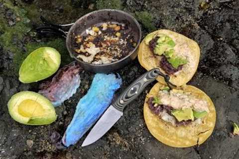 Catch and Cook in the RAIN on the ROCKS:  Most Delicious Fish Tacos!!