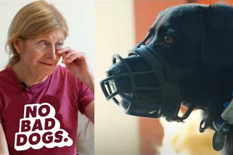 I Don't Want To Put My Dog Down- Reactive Dog Owner