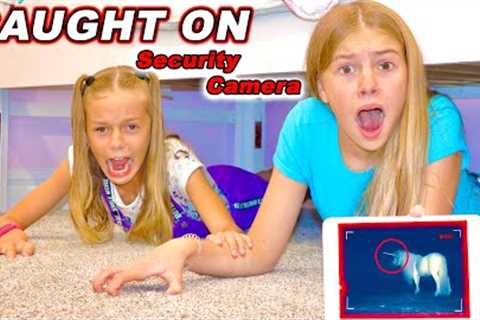 Caught On Security Camera Unicorn Wings Play Pretend Hide N Seek In Tannerites House.
