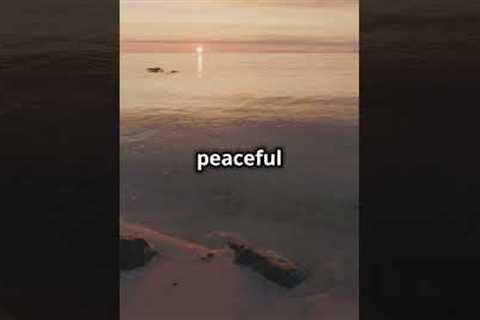 One Minute Meditation - Reduce Stress &amp; Anxiety