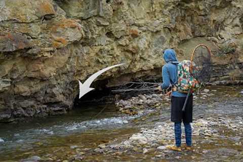The BEST Day of Summer Fly Fishing? | Bull Trout and Cutthroat