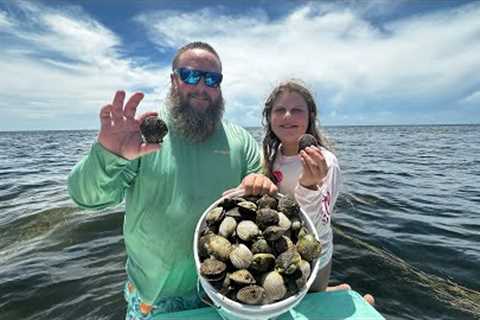 Florida's Secret Seafood {Scallops} | Catch, Clean, Cook |