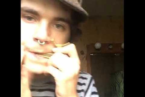 Indian Morchang jaw harp played by Nico Cornelius