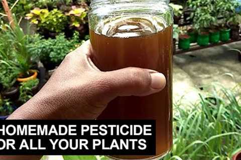 5 Homemade Pesticide For All Your Plants I Step By Step Procedures