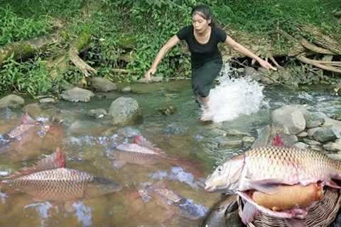 Survival in rainforest, Catch &amp; cook, Fish egg hot chili grill on rock So delicious food for..