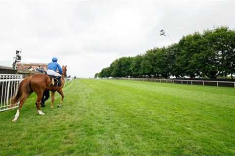 DESERT FLOWER 12/1 for next year's 1000 Guineas following Newmarket romp