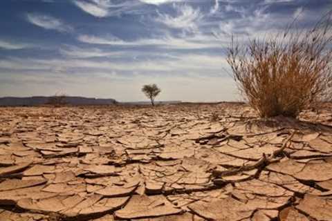 The world faces widespread food shortages due to global warming