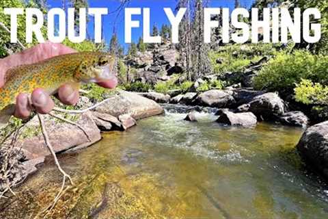 Fly Fishing a Remote Idaho Stream for Trout!