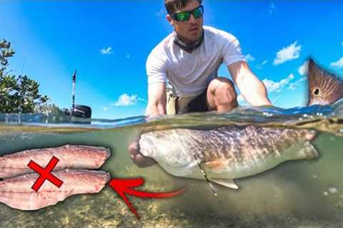 Stop Cleaning Fish Like This!!!  catch and cook redfish