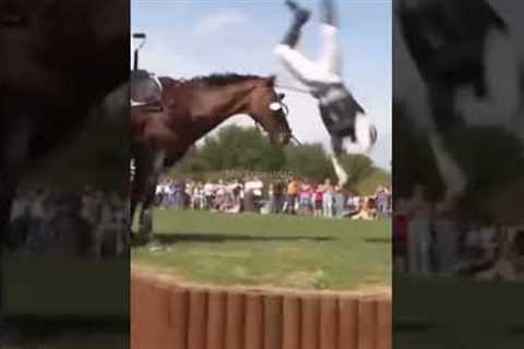 The way he ran to his horse!! #horse #equestrianrider #equestrian #crosscountry #horsefail