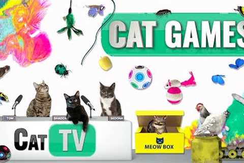 CAT Games | Ultimate Cat TV Compilation Vol 64 | 2 HOURS 🐝🐞🦋🦎🦜🐜🐭🧵