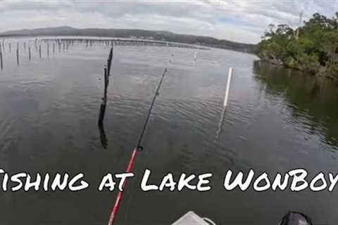 Soft Plastics and Bait Fishing with Steve at Lake Wonboyn