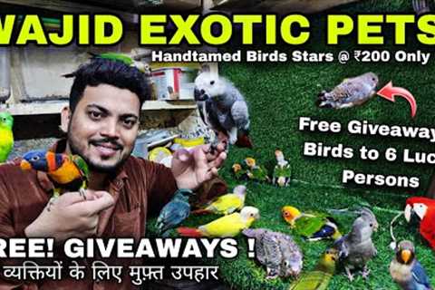 Exotic Pets Mumbai | Hand Tamed Birds | Hamsters | Rabbits &amp; Iguanas