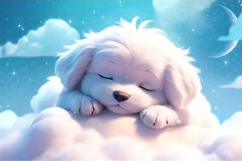 Reduce Stress and Anxiety 🎵 Stop Overthinking, Stress Relief Music, Sleep Music, Calming Music