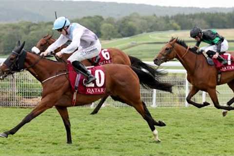 TERM OF ENDEARMENT gives Henry De Bromhead Group Two success on the Flat