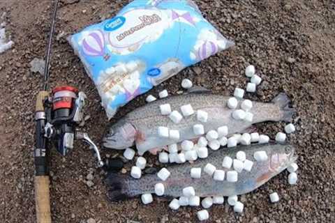 Catching Stocked Trout With Mini Marshmallows - Catch n' Cook - How To Catch Stocked Trout